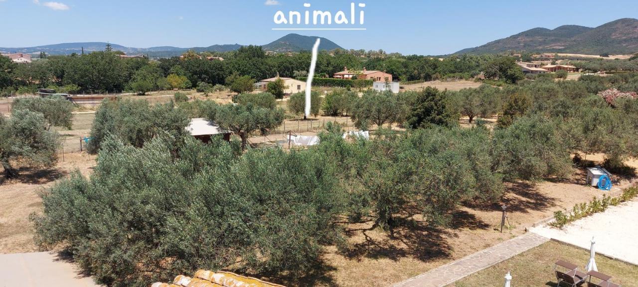 Villa Klinai Cerveteri Extérieur photo