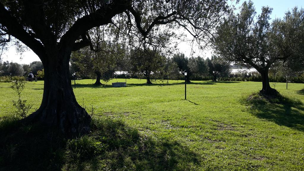 Villa Klinai Cerveteri Extérieur photo